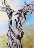 52 - Liz Symonds - Old Olive Tree - Pen & Wash.jpg